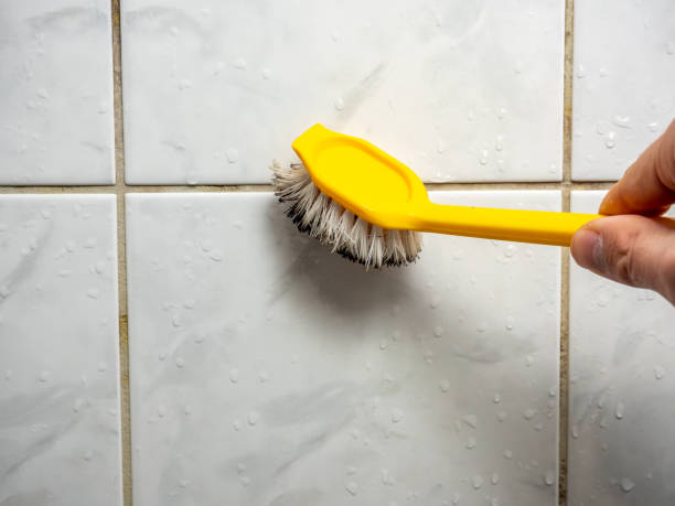 Best Professional Mold Removal  in Pierce, CO