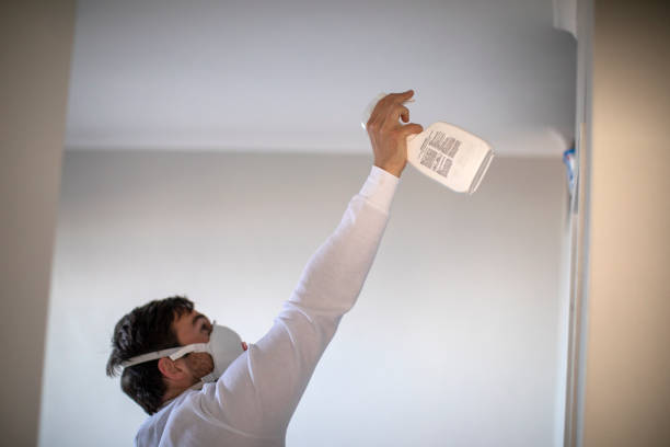 Best Mold Remediation  in Pierce, CO