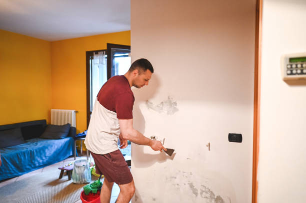 Best Office Mold Removal Services  in Pierce, CO